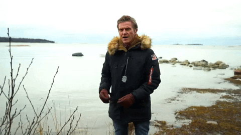 SoMello giphygifmaker sedu zedu zedu de luca GIF