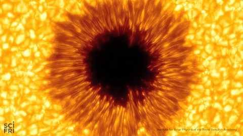 sun spot GIF by Science Friday