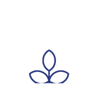 Flower Grow Sticker by Homes For Students