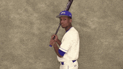 Cuw GIF by CUWFalcons