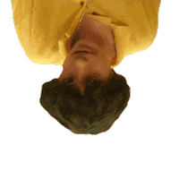 Book Read Sticker by glaive