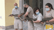 Wild Animals Snake GIF by Brookfield Zoo