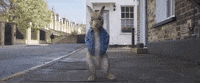 Car Walking GIF by Peter Rabbit Movie