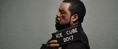 Good Cop Bad Cop Mugshot GIF by Ice Cube