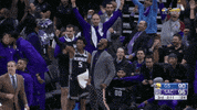 sacramento kings fox GIF by NBA