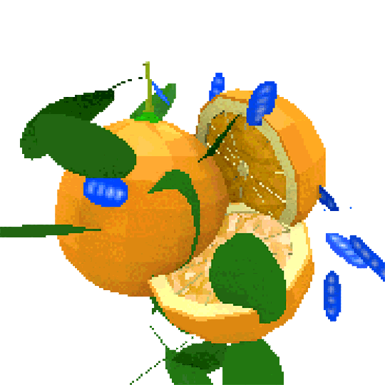 Navel Oranges 3D Sticker by jjjjjohn