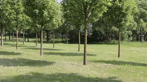 GIF by Adjewat