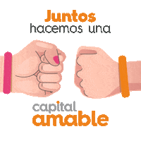 Br Sticker by H.Municipio de Campeche