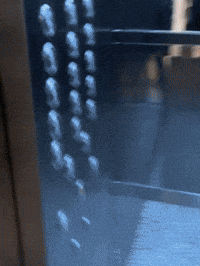 Santos Voto GIF