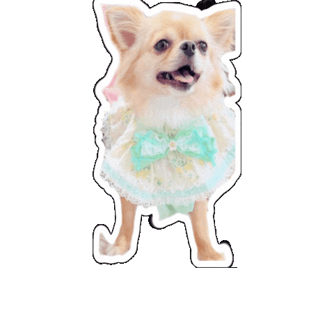 キャバスタ19 Sticker