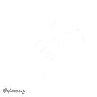 Black Sheep Sticker by Yin Wrong