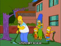 homer simpson GIF