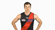 essendonfc dons bombers essendon essendon fc GIF