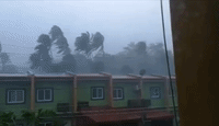 Calapan City Battered by High Winds From Typhoon Kammuri