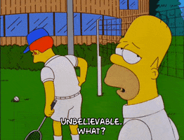 homer simpson GIF