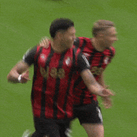 Happy Premier League GIF by AFC Bournemouth
