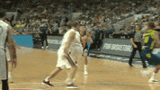 world cup slide GIF by FIBA
