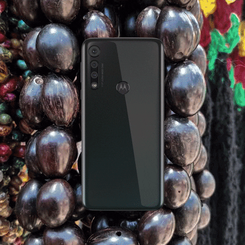 Matildamy giphyupload GIF