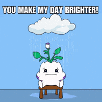 Happy Cheer Up GIF by Magic Eden