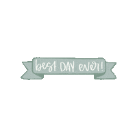 Best Day Ever Wedding Sticker
