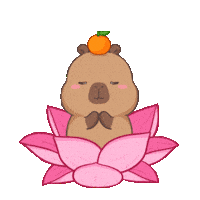 Capybara Pray Sticker
