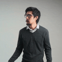 somposeguros sompo somposeguros GIF