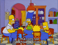 homer simpson episode 6 GIF