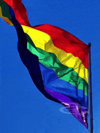 Rainbow Gay GIF by Respective
