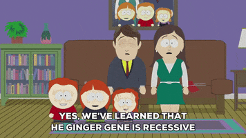 serious family GIF by South Park 