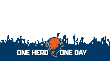 Football Giving Sticker by Bucknell University