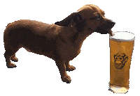 el mono Sticker by EL MONO BANDIDO