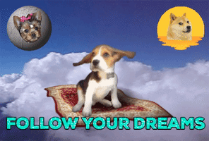 Follow Your Dreams Dog GIF