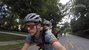 sliding lets go GIF by Outside TV