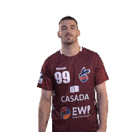 Bundesliga Handball Sticker by 1. VFL Potsdam