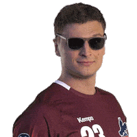 Bundesliga Handball Sticker by 1. VFL Potsdam