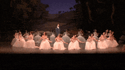 Enbsylphide GIF by English National Ballet