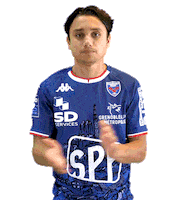 Italian Applause Sticker by FCG Rugby