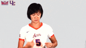 The Valley Mvc GIF by Missouri Valley Conference
