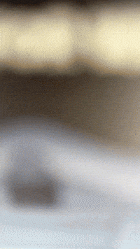 Wave Hello GIF by Youtooz