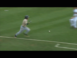 florida atlantic baseball GIF by FAU Athletics