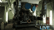 bbc one blue planet 2 GIF by BBC