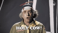 HOLY COW!