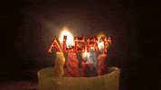 Pamfletim GIF by Tim Pamflet