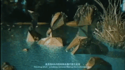 wudidong GIF by Higher Brothers