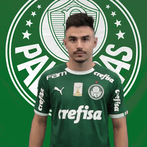Palmeiras giphyupload soccer futebol 10 GIF