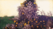 Everyone Blooms GIF by The Front Bottoms