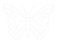 ednetze nature animal butterfly natur Sticker