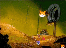 Shib Coin GIF by SHIB MEMES