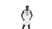 Basketball Dancing Sticker by Delaware Blue Hens