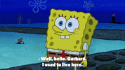 season 9 episode 21 GIF by SpongeBob SquarePants